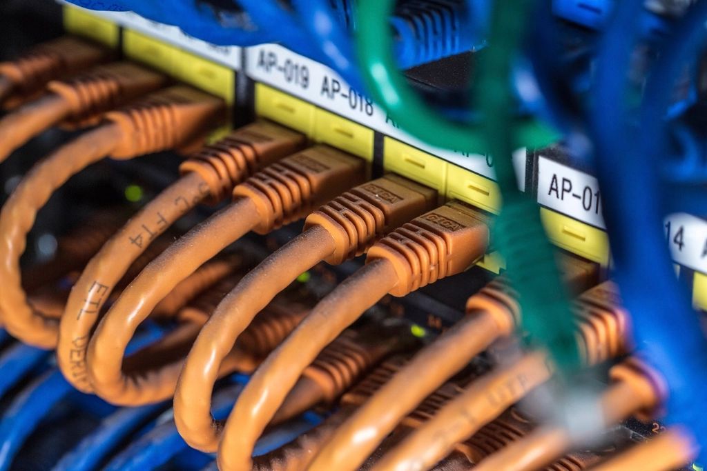 Network cables connected to a patch panel