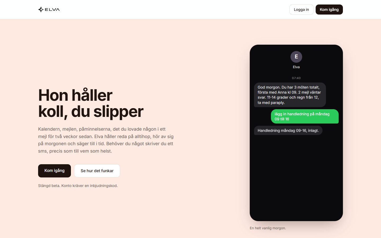 The hejelva.se homepage with the headline Hon håller koll, du slipper and a text conversation with Elva